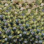 8ft*8ft Flower Wall for Wedding Glowers 3D Artificial Backdrop Flower Wall